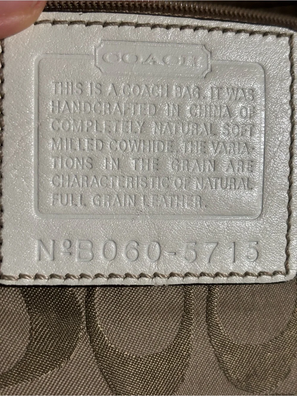 Y2K-era Coach Soho Large Hobo Bag (Style Number 5715